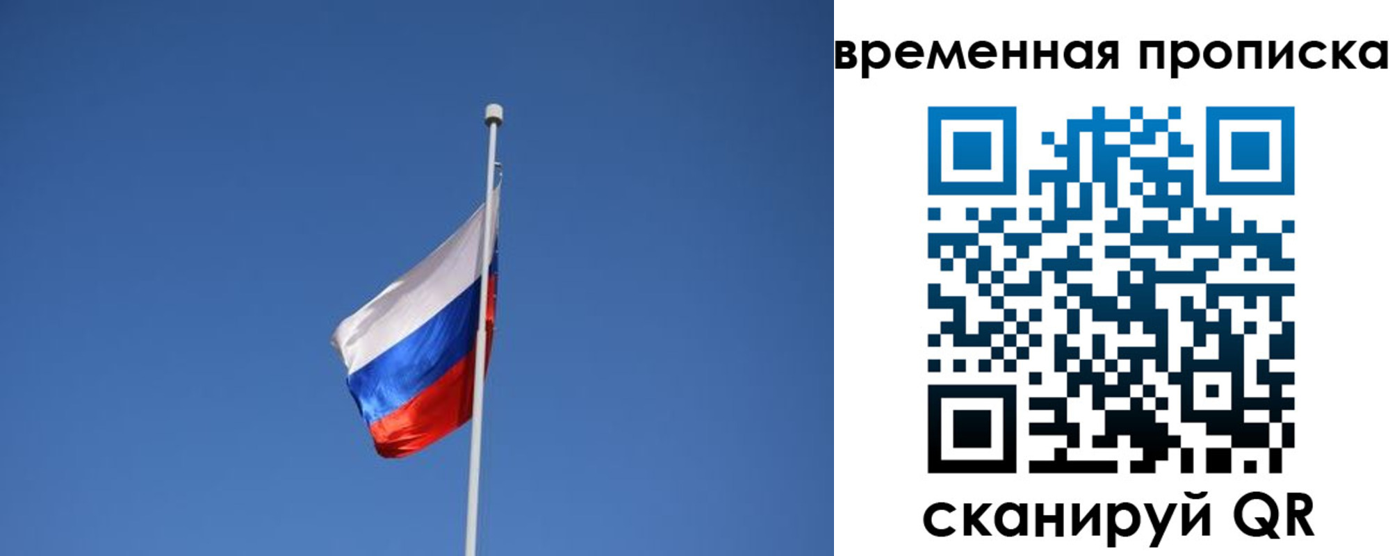 временная регистрация гарантия в Лосино-Петровском
